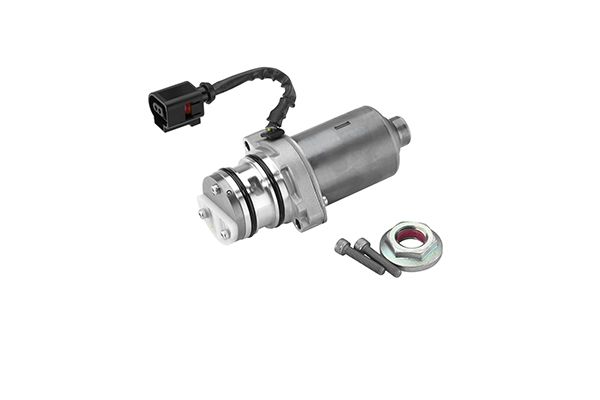 BorgWarner DS119863 Pump, multi-plate clutch (all-wheel drive)