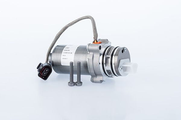 BorgWarner DS2010676 Pump, multi-plate clutch (all-wheel drive)