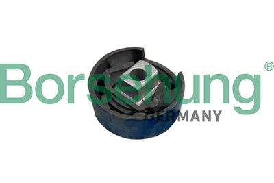 Bushing, axle beam Borsehung B10031
