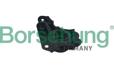 Mounting, control/trailing arm Borsehung B10047