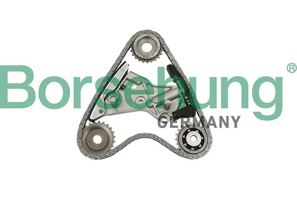 Borsehung B10201 Timing Chain Kit