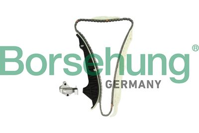Timing Chain Kit Borsehung B10203