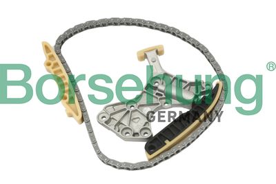 Chain Kit, oil pump drive Borsehung B10205