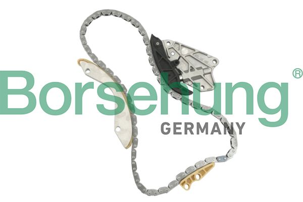 Borsehung B10206 Timing Chain Kit