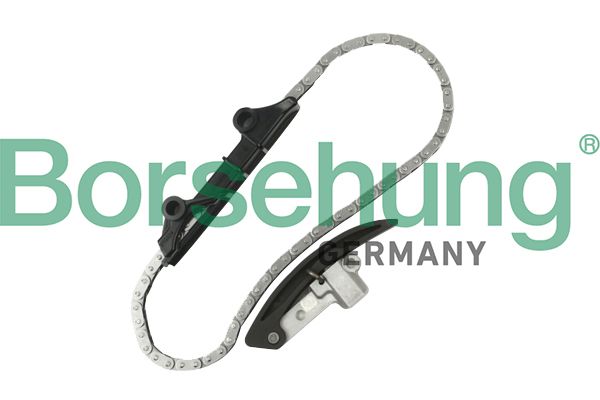 Borsehung B10209 Timing Chain Kit