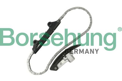 Timing Chain Kit Borsehung B10209