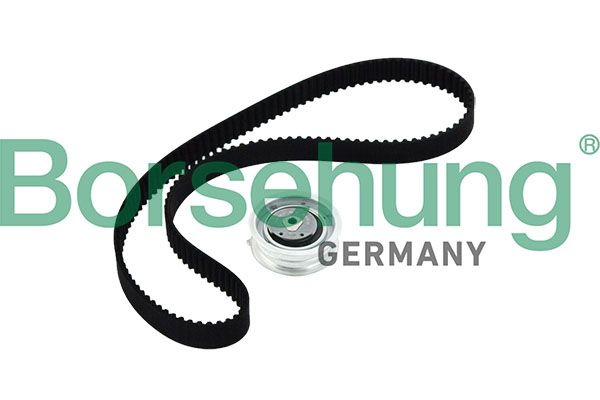 Borsehung B10219 Timing Belt Kit