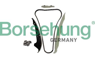 Timing Chain Kit Borsehung B10253