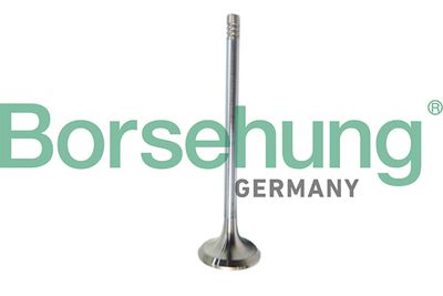 Exhaust Valve Borsehung B10321