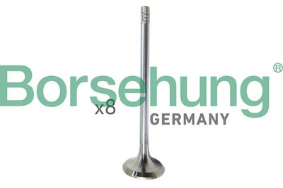 Intake Valve Borsehung B10322