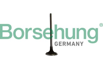 Intake Valve Borsehung B10334