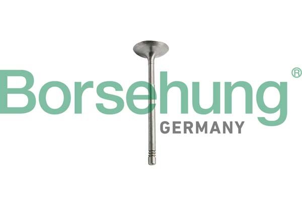 Borsehung B10351 Intake Valve