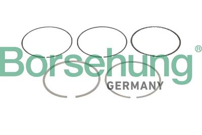 Piston Ring Kit Borsehung B10361