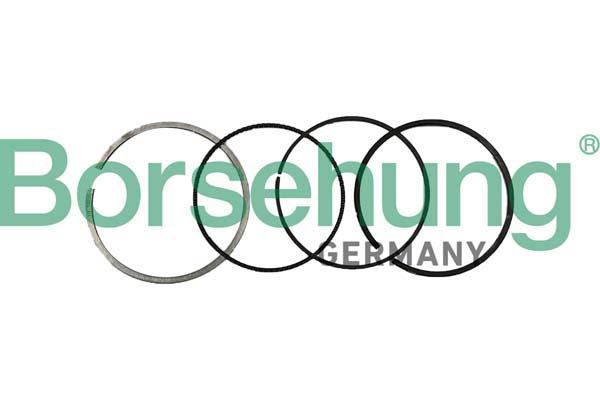 Borsehung B10370 Piston Ring Kit