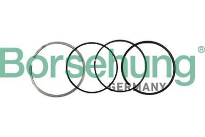 Piston Ring Kit Borsehung B10370