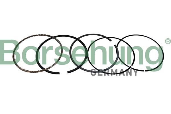 Borsehung B10372 Piston Ring Kit