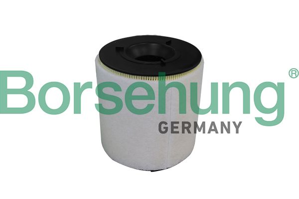 Borsehung B10539 Air Filter