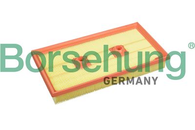 Air Filter Borsehung B10542