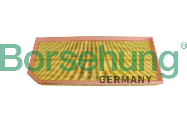 Borsehung B10543 Air Filter