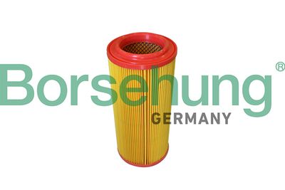 Air Filter Borsehung B10546