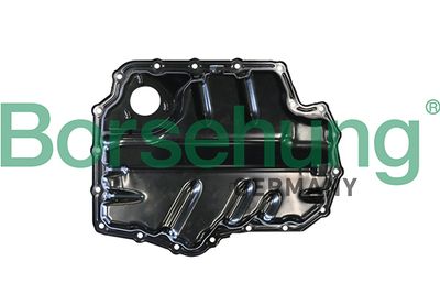 Oil Sump Borsehung B10624