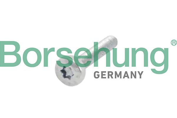 Borsehung B10634 Bolt, camshaft gear