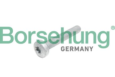 Cylinder Head Bolt Borsehung B10645