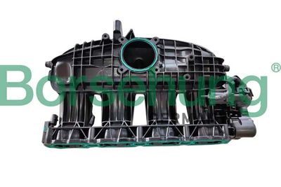 Intake Manifold, air supply Borsehung B10665