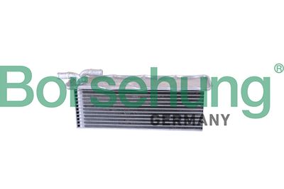 Charge Air Cooler Borsehung B10880