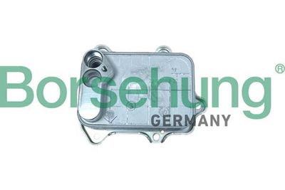 Oil Cooler, engine oil Borsehung B10883