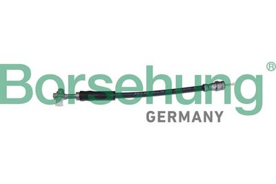Brake Hose Borsehung B10950