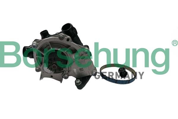 Borsehung B11210 Water Pump, engine cooling