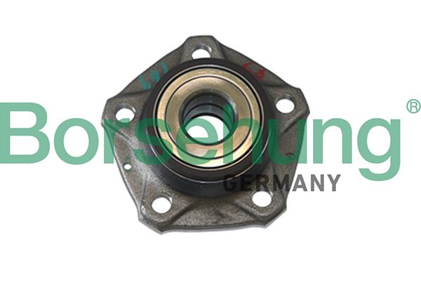 Borsehung B11286 Wheel Bearing Kit