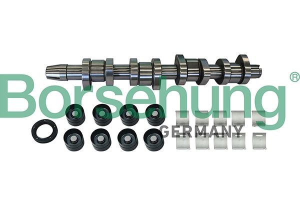 Borsehung B11307 Camshaft Kit