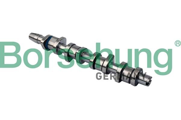 Borsehung B11323 Camshaft
