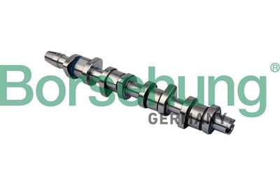 Camshaft Borsehung B11323