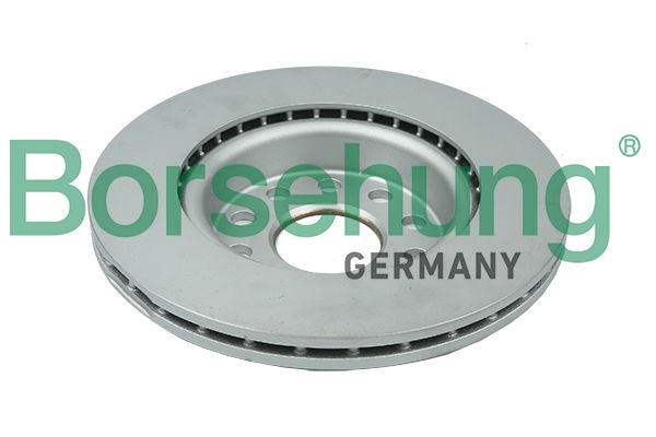Borsehung B11376 Brake Disc