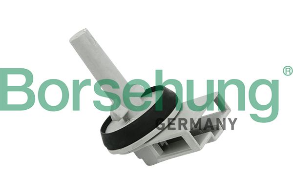 Borsehung B11447 Sensor, interior temperature
