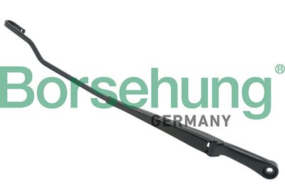 Wiper Arm, window cleaning Borsehung B11465