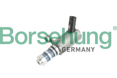 Central Valve, camshaft adjustment Borsehung B11858