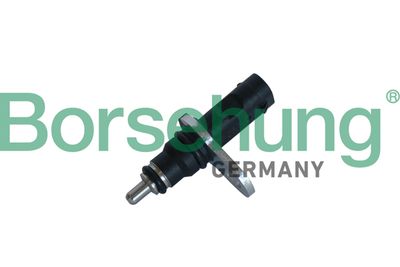 Sensor, coolant temperature Borsehung B11863