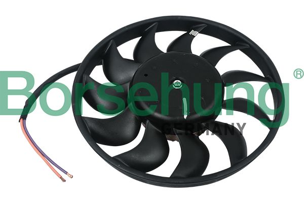 Borsehung B11898 Fan, engine cooling