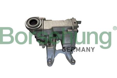 Oil Pump Borsehung B11901