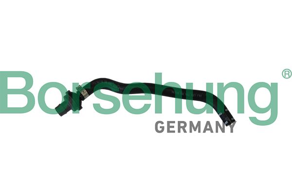 Borsehung B11970 Hose, crankcase ventilation