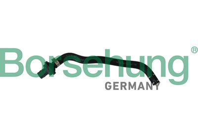 Hose, crankcase ventilation Borsehung B11970