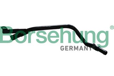 Coolant Pipe Borsehung B11993