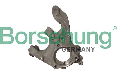 Steering Knuckle, wheel suspension Borsehung B12114