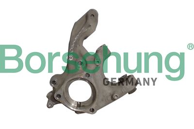 Steering Knuckle, wheel suspension Borsehung B12115
