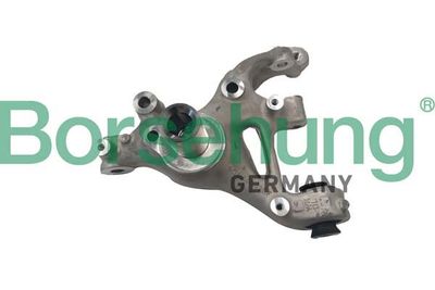 Steering Knuckle, wheel suspension Borsehung B12116