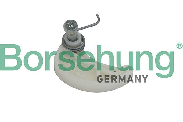 Borsehung B12187 Tensioner, timing chain